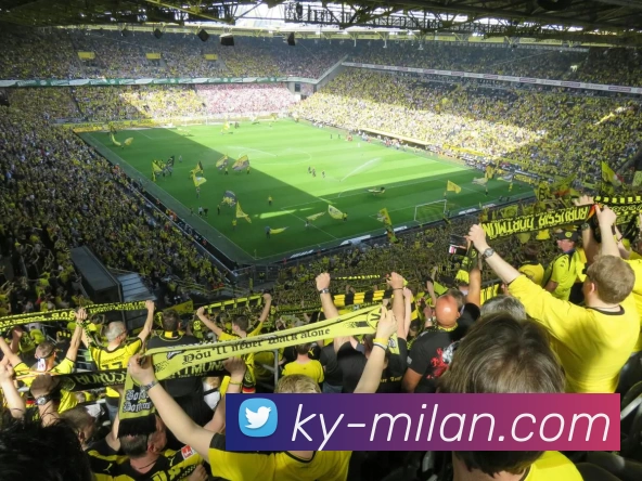 米兰体育平台生态图