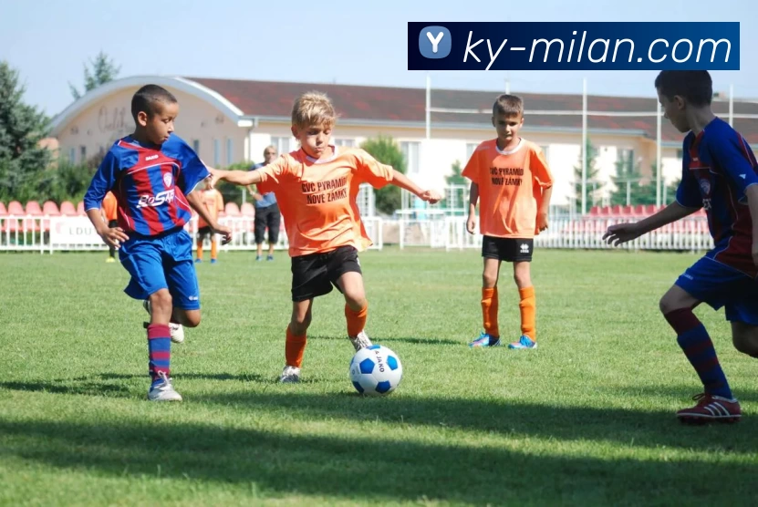 米兰体育APP 封面图